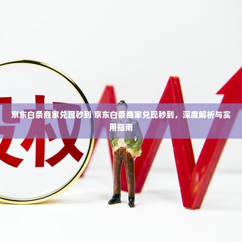 京东白条商家兑现秒到 京东白条商家兑现秒到，深度解析与实用指南
