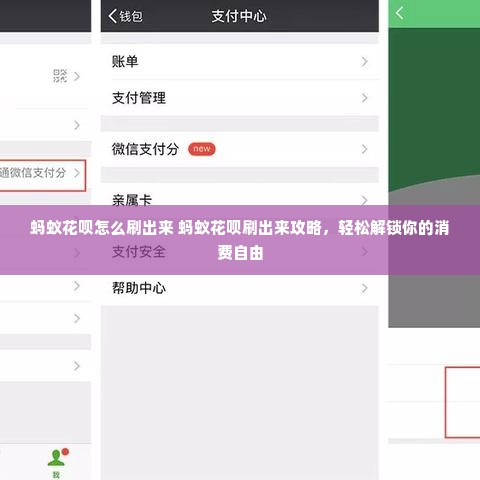 蚂蚁花呗怎么刷出来 蚂蚁花呗刷出来攻略，轻松解锁你的消费自由