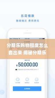 分期乐购物额度怎么套出来 揭秘分期乐购物额度，如何巧妙套出更多购物金？