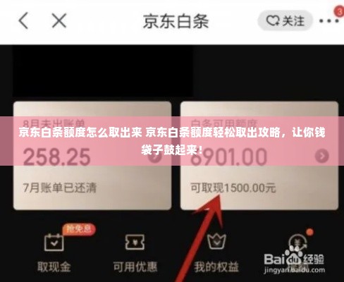 京东白条额度怎么取出来 京东白条额度轻松取出攻略，让你钱袋子鼓起来！