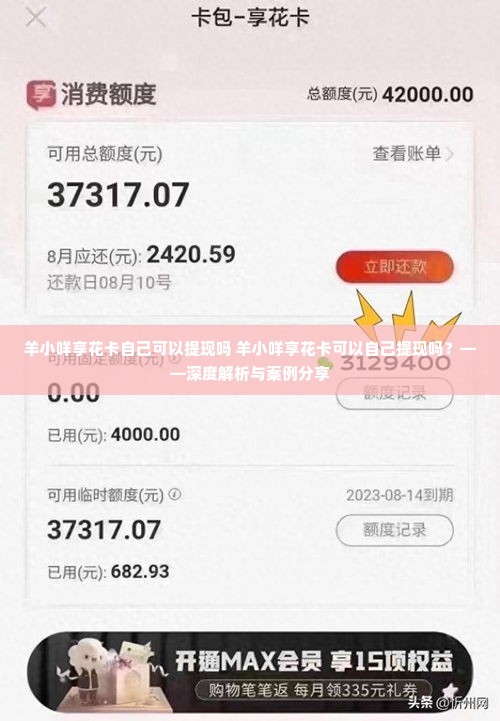羊小咩享花卡自己可以提现吗 羊小咩享花卡可以自己提现吗？——深度解析与案例分享