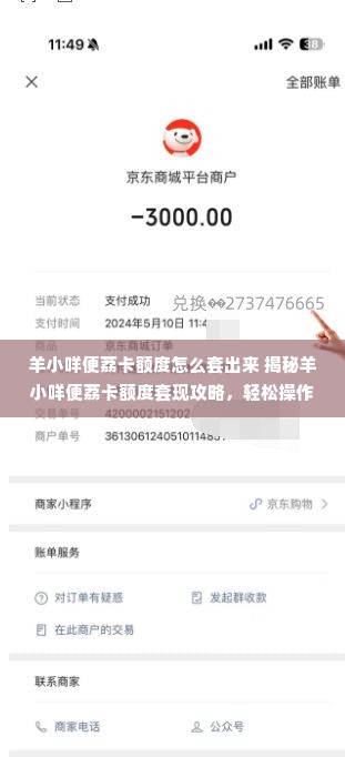 羊小咩便荔卡额度怎么套出来 揭秘羊小咩便荔卡额度套现攻略，轻松操作，安全无忧！