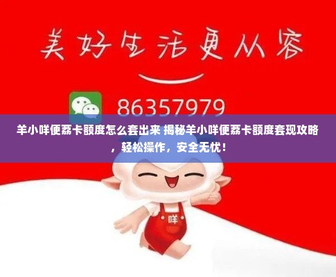 羊小咩便荔卡额度怎么套出来 揭秘羊小咩便荔卡额度套现攻略，轻松操作，安全无忧！