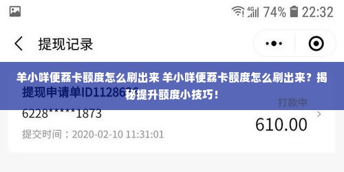 羊小咩便荔卡额度怎么刷出来 羊小咩便荔卡额度怎么刷出来？揭秘提升额度小技巧！