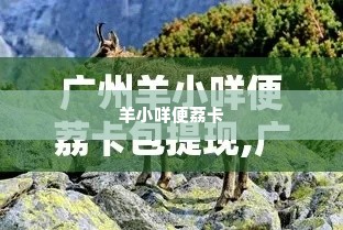 羊小咩便荔卡找商家兑现全攻略 羊小咩便荔卡找商家兑现全攻略
