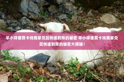 羊小咩便荔卡找商家兑现快速到账的秘密 羊小咩便荔卡找商家兑现快速到账的秘密大揭秘！