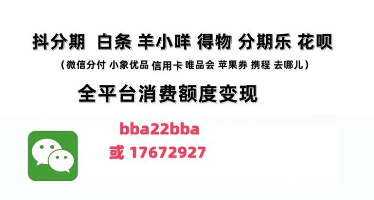 羊小咩购物额度秒到 羊小咩购物额度秒到攻略，让你秒变省钱达人！