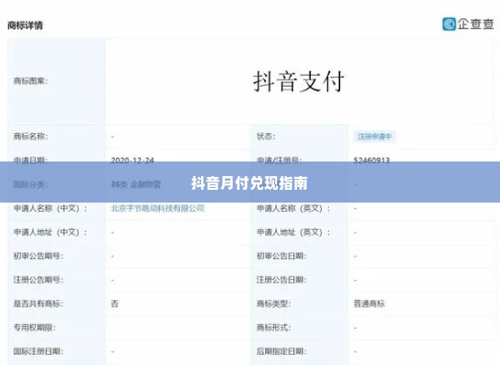创新智能科技抖音月付兑现秒到回款指南 创新智能科技抖音月付兑现秒到回款指南