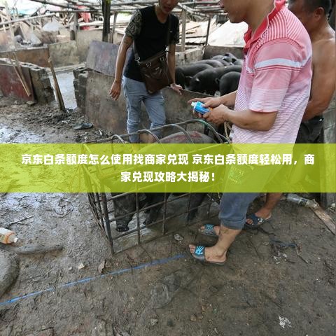 京东白条额度怎么使用找商家兑现 京东白条额度轻松用，商家兑现攻略大揭秘！