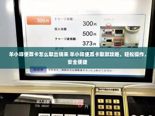 羊小咩便荔卡怎么取出钱来 羊小咩便荔卡取款攻略，轻松操作，安全便捷