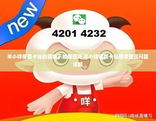 羊小咩便荔卡包的额度不能提现吗 羊小咩便荔卡包额度提现问题详解