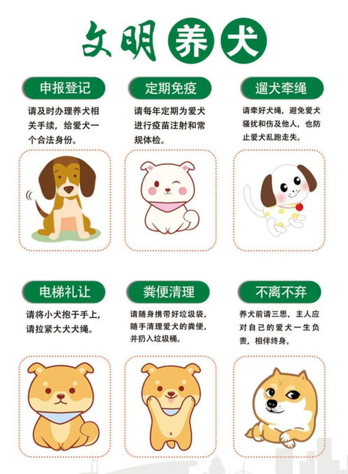 羊小咩便荔卡怎么使用兑现方法 羊小咩便荔卡使用指南