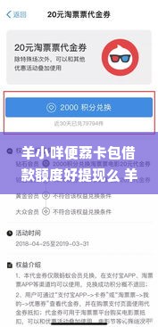 羊小咩便荔卡包借款额度好提现么 羊小咩便荔卡包借款额度提现解析，真实体验与案例分享
