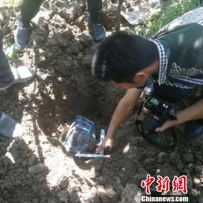 京东白条找兑现商家 京东白条找兑现商家的注意事项与实用指南