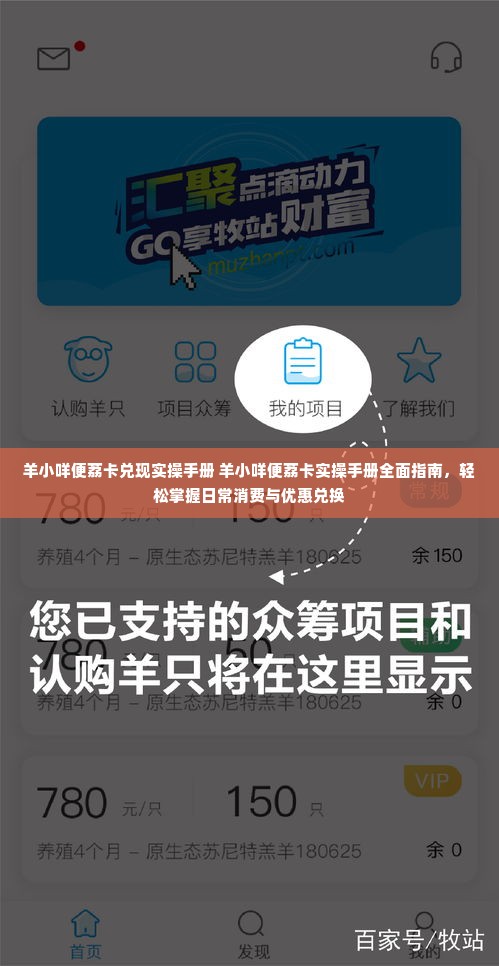 羊小咩便荔卡兑现实操手册 羊小咩便荔卡实操手册全面指南，轻松掌握日常消费与优惠兑换