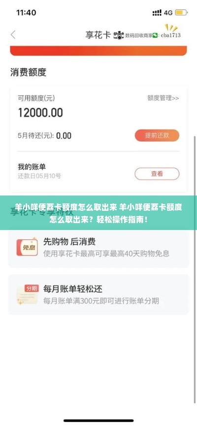 羊小咩便荔卡额度怎么取出来 羊小咩便荔卡额度怎么取出来？轻松操作指南！