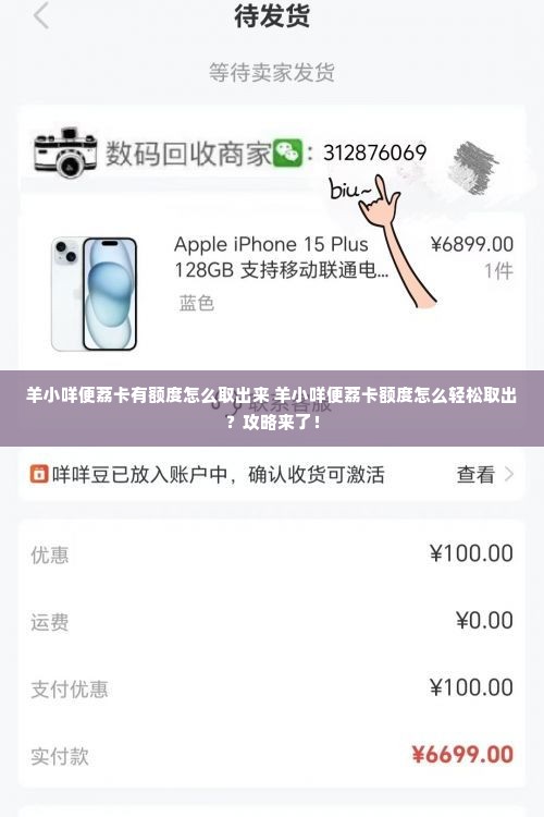 羊小咩便荔卡有额度怎么取出来 羊小咩便荔卡额度怎么轻松取出？攻略来了！