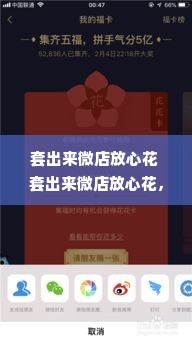 套出来微店放心花 套出来微店放心花，轻松购物，无忧支付体验