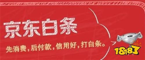 京东白条兑现 轻松应对生活开销，京东白条兑现服务全解析