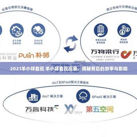 2021羊小咩套现 羊小咩套现现象，揭秘背后的故事与影响