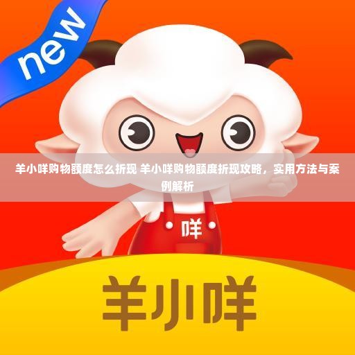 羊小咩购物额度怎么折现 羊小咩购物额度折现攻略，实用方法与案例解析