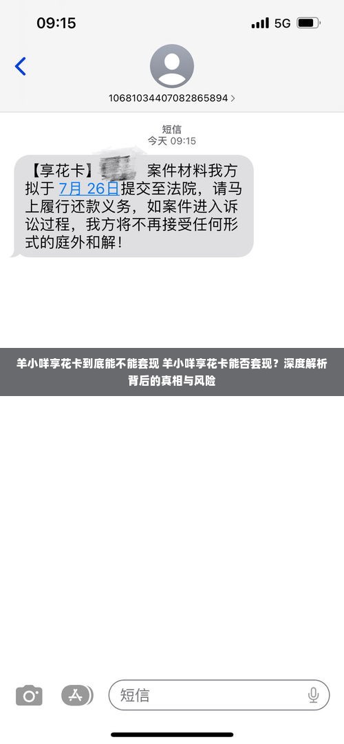 羊小咩享花卡到底能不能套现 羊小咩享花卡能否套现？深度解析背后的真相与风险