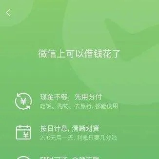 微信分付套出来秒回微信 微信分付套出来秒回微信，深度解析与实用指南
