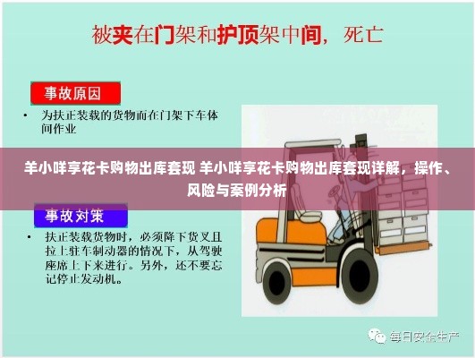 羊小咩享花卡购物出库套现 羊小咩享花卡购物出库套现详解，操作、风险与案例分析