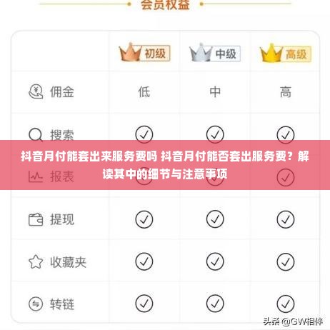 抖音月付能套出来服务费吗 抖音月付能否套出服务费？解读其中的细节与注意事项