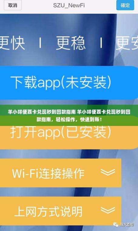 羊小咩便荔卡兑现秒到回款指南 羊小咩便荔卡兑现秒到回款指南，轻松操作，快速到账！