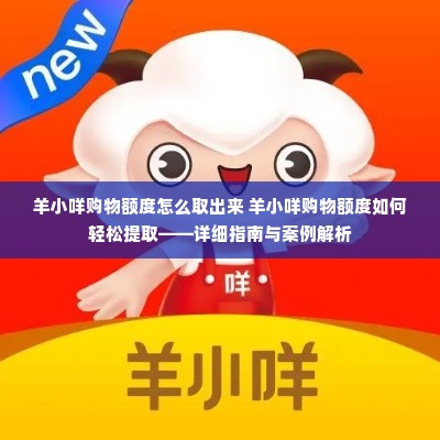 羊小咩购物额度怎么取出来 羊小咩购物额度如何轻松提取——详细指南与案例解析