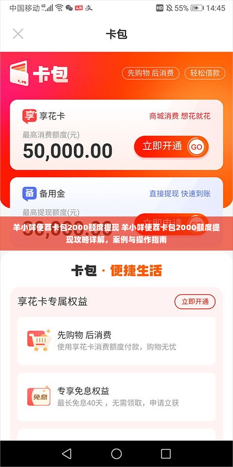 羊小咩便荔卡包2000额度提现 羊小咩便荔卡包2000额度提现攻略详解，案例与操作指南