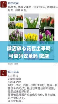 微店放心花套出来吗可靠吗安全吗 微店放心花套出来靠谱吗？安全性如何？深度解析带您了解真相
