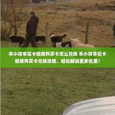 羊小咩享花卡额度购买卡怎么兑换 羊小咩享花卡额度购买卡兑换攻略，轻松解锁更多优惠！