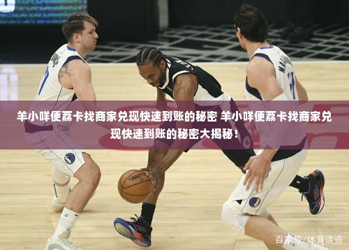 羊小咩便荔卡找商家兑现快速到账的秘密 羊小咩便荔卡找商家兑现快速到账的秘密大揭秘！