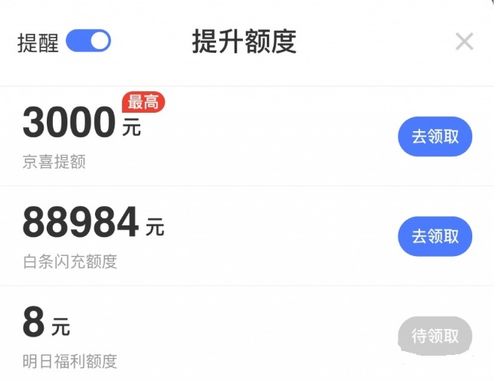 京东白条兑现的正确步骤与基本方法 轻松掌握京东白条兑现攻略，正确步骤与基本方法大揭秘