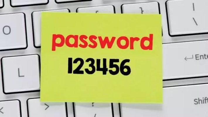 password:f8431412 揭秘密码f8431412，背后的故事与安全启示
