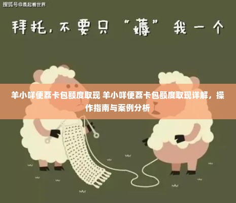 羊小咩便荔卡包额度取现 羊小咩便荔卡包额度取现详解，操作指南与案例分析