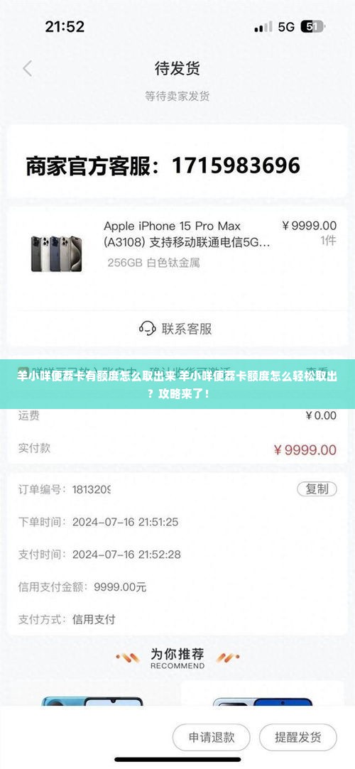羊小咩便荔卡有额度怎么取出来 羊小咩便荔卡额度怎么轻松取出？攻略来了！