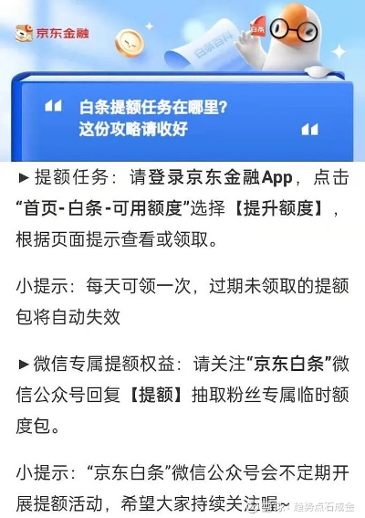 白条额度兑现 白条额度兑现解析，理解与应用