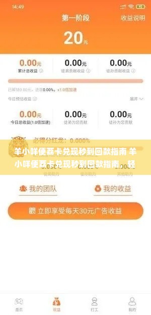 羊小咩便荔卡兑现秒到回款指南 羊小咩便荔卡兑现秒到回款指南，轻松操作，快速到账！
