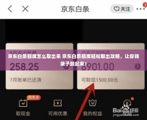 京东白条额度怎么取出来 京东白条额度轻松取出攻略，让你钱袋子鼓起来！