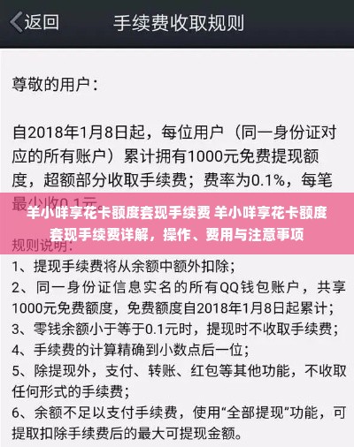 羊小咩享花卡额度套现手续费 羊小咩享花卡额度套现手续费详解，操作、费用与注意事项