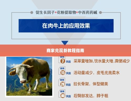 羊小咩便荔卡找商家兑现全攻略与新教程 羊小咩便荔卡全攻略，商家兑现新教程，轻松解决你的兑换难题