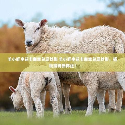 羊小咩享花卡商家兑现秒到 羊小咩享花卡商家兑现秒到，轻松赚钱新体验！