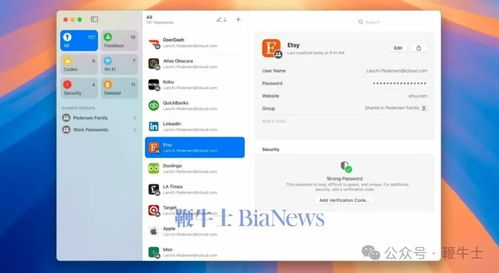password:b27e3c52 揭秘密码b27e3c52，安全与便捷的平衡之道
