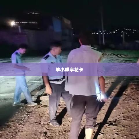 羊小咩享花卡找商家兑现全攻略与新教程 羊小咩享花卡全攻略与新教程