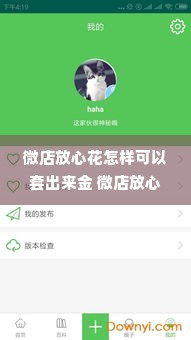 微店放心花怎样可以套出来金 微店放心花，如何巧妙套出金花？实用攻略与案例解析