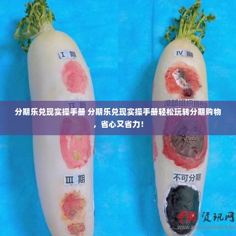 分期乐兑现实操手册 分期乐兑现实操手册轻松玩转分期购物，省心又省力！
