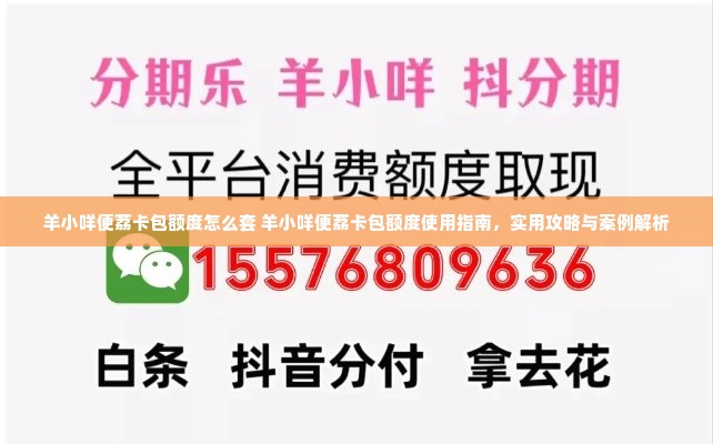 羊小咩便荔卡包额度怎么套 羊小咩便荔卡包额度使用指南，实用攻略与案例解析